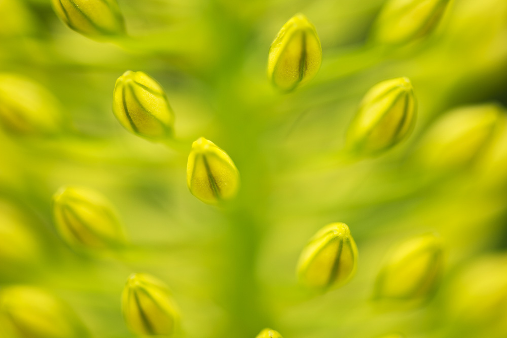 Platz 12 Robert Seitz